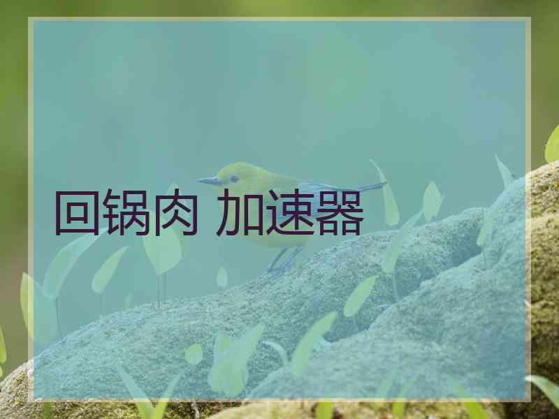 回锅肉 加速器