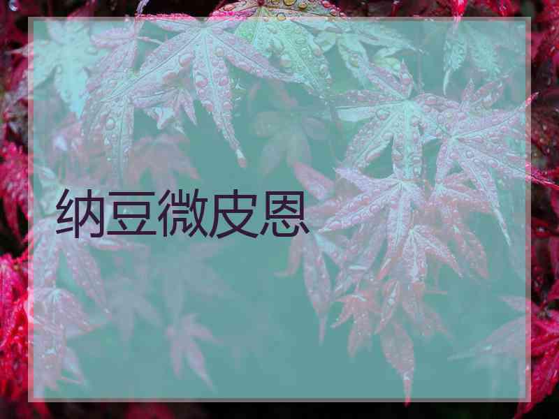 纳豆微皮恩