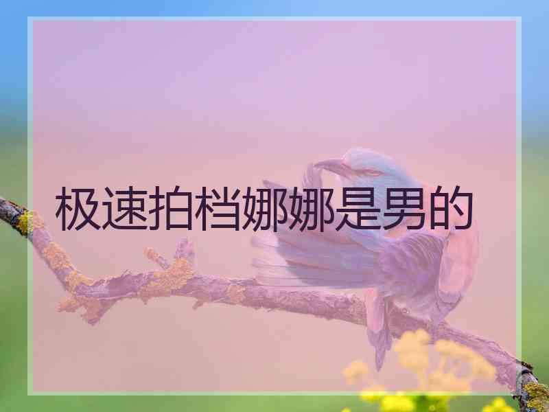 极速拍档娜娜是男的