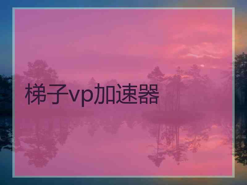 梯子vp加速器