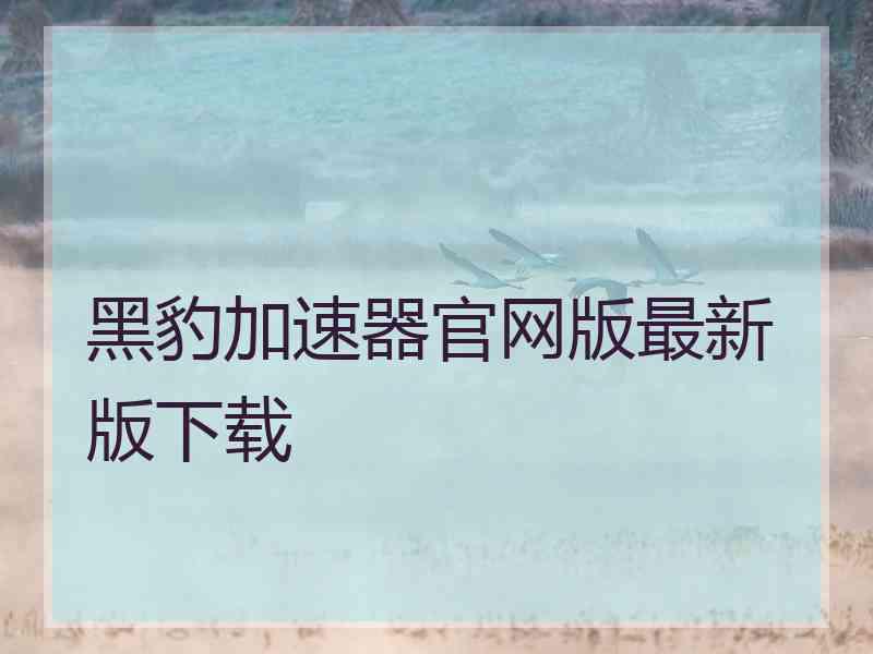 黑豹加速器官网版最新版下载