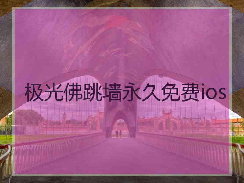 极光佛跳墙永久免费ios