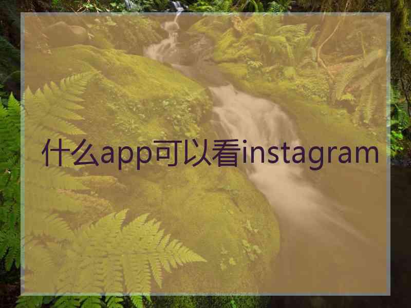 什么app可以看instagram