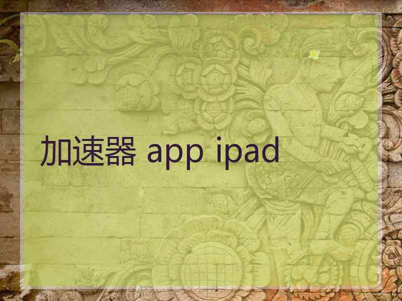 加速器 app ipad