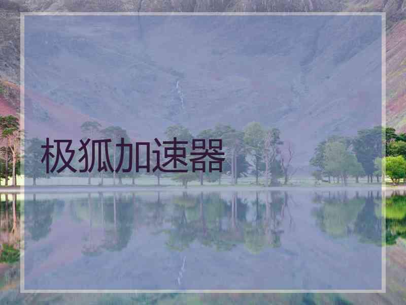 极狐加速器