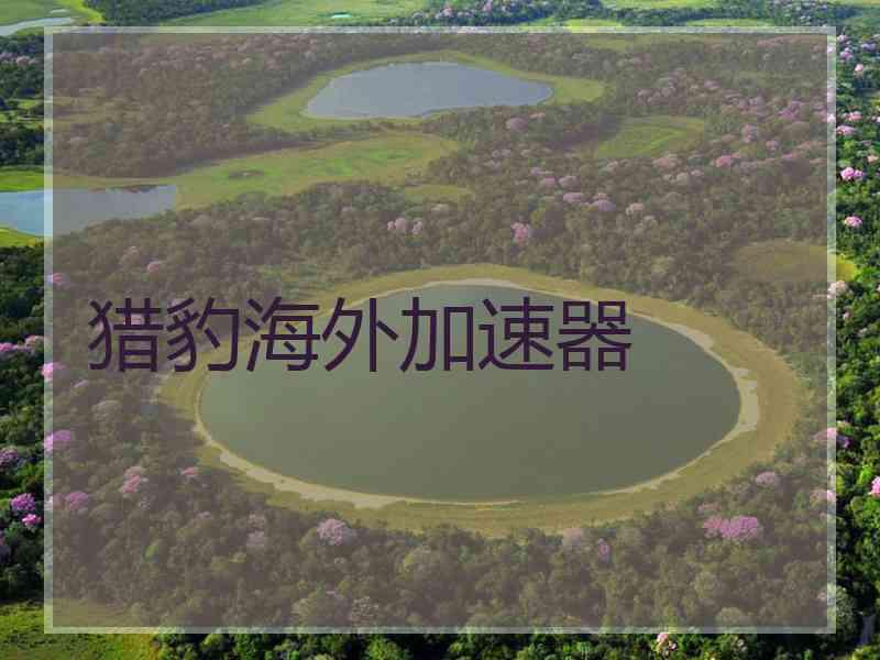 猎豹海外加速器