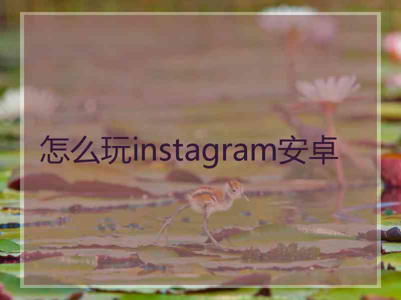 怎么玩instagram安卓