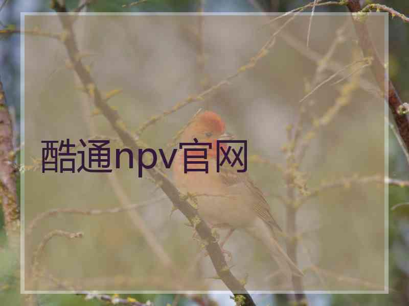 酷通npv官网