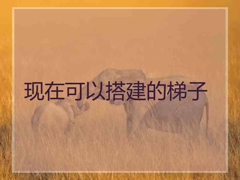 现在可以搭建的梯子