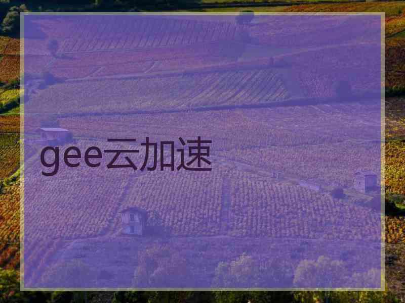 gee云加速