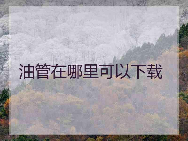 油管在哪里可以下载