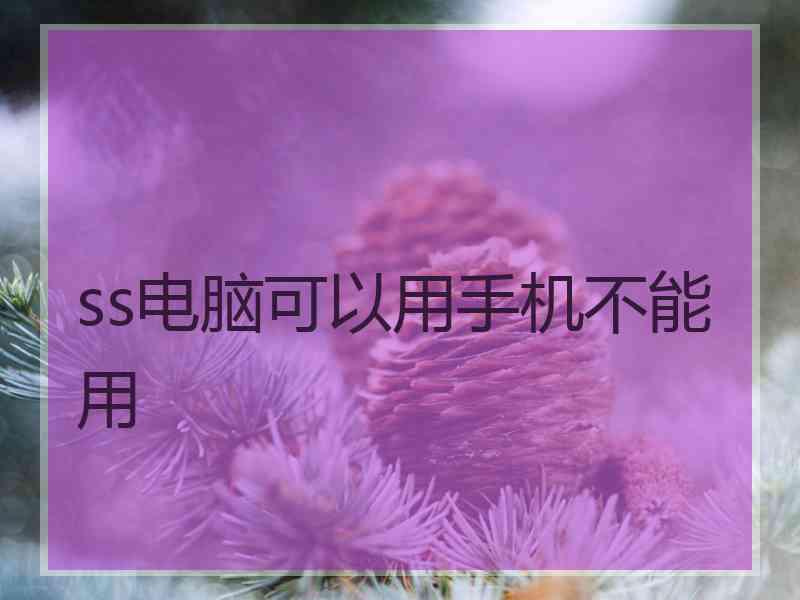 ss电脑可以用手机不能用