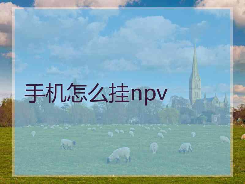 手机怎么挂npv