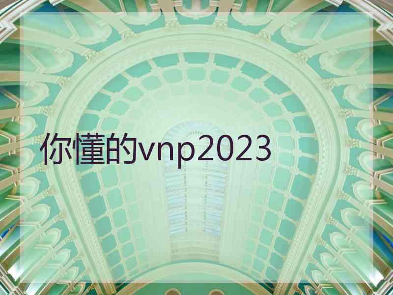 你懂的vnp2023