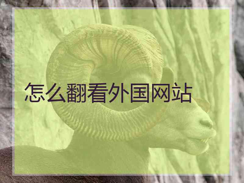 怎么翻看外国网站