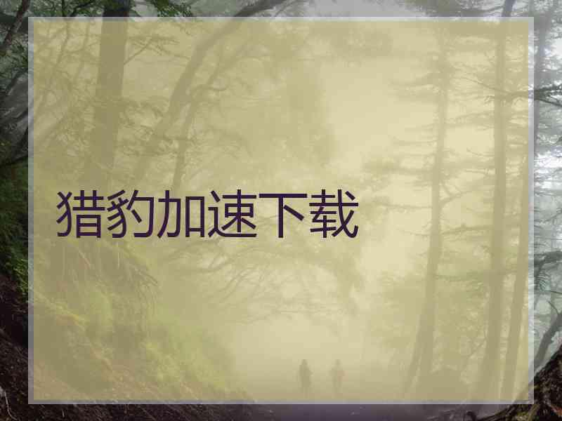 猎豹加速下载