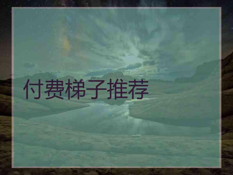 付费梯子推荐