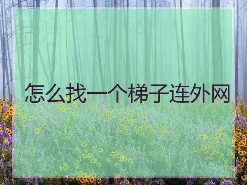 怎么找一个梯子连外网