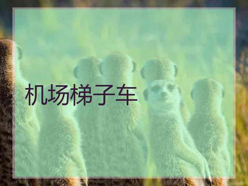 机场梯子车