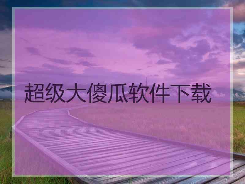 超级大傻瓜软件下载