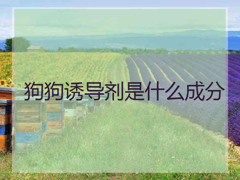 狗狗诱导剂是什么成分