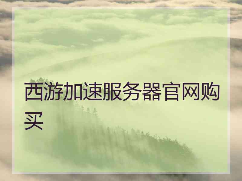 西游加速服务器官网购买