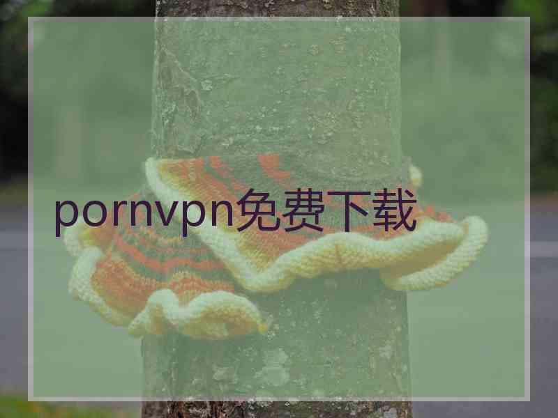 pornvpn免费下载