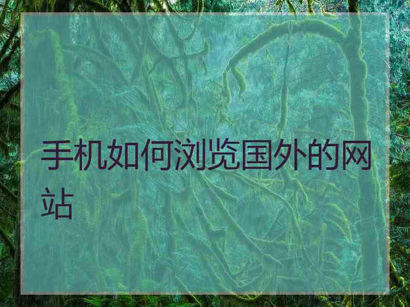 手机如何浏览国外的网站