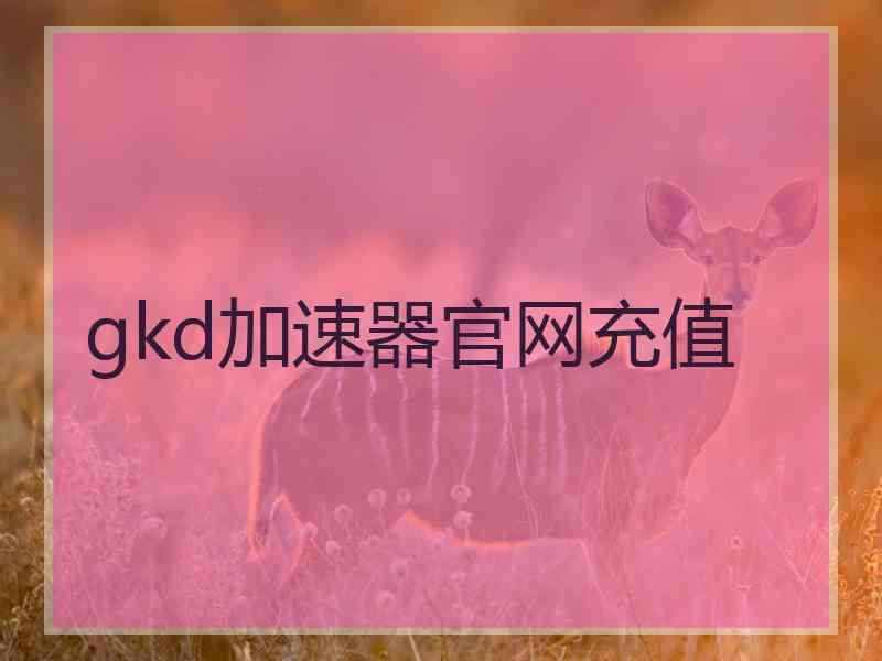 gkd加速器官网充值