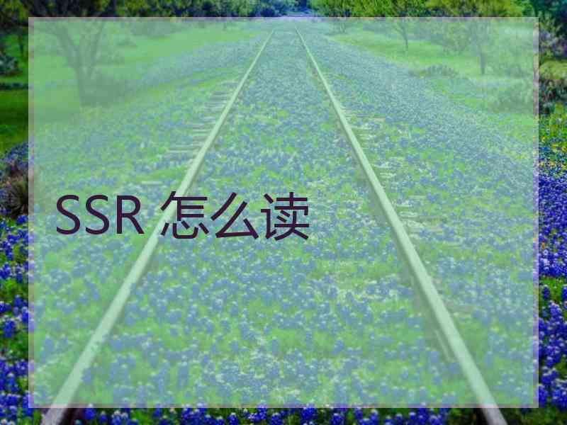 SSR 怎么读