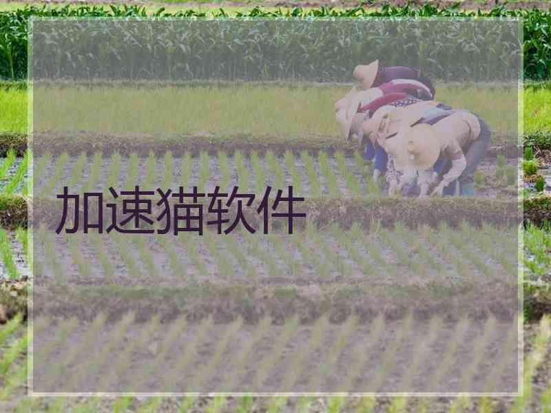 加速猫软件