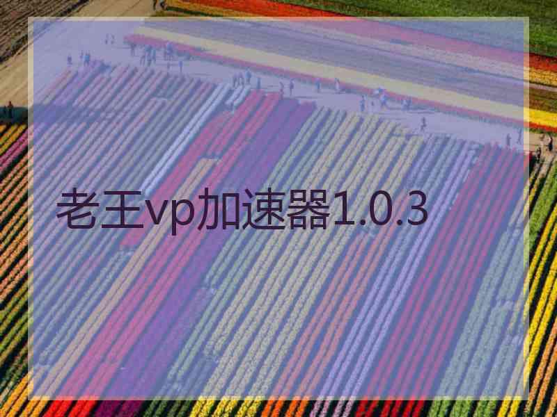 老王vp加速器1.0.3