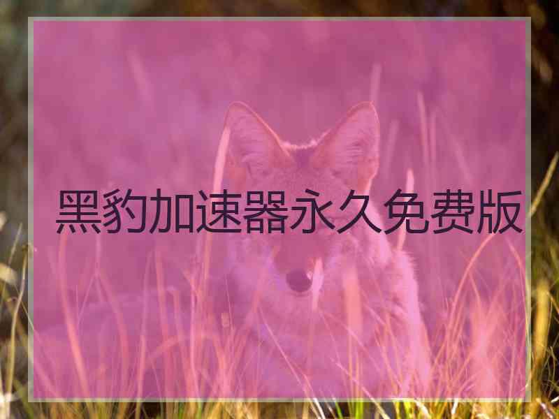 黑豹加速器永久免费版