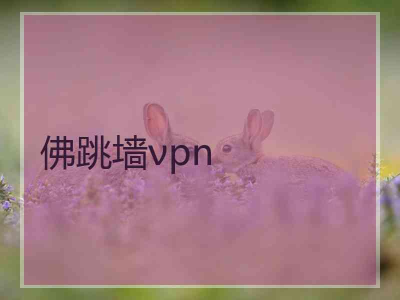 佛跳墙νpn