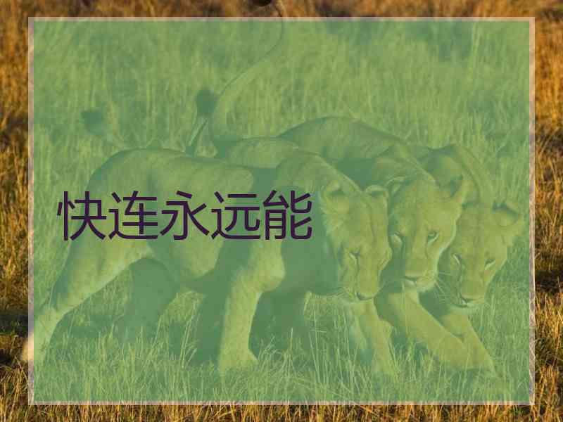 快连永远能