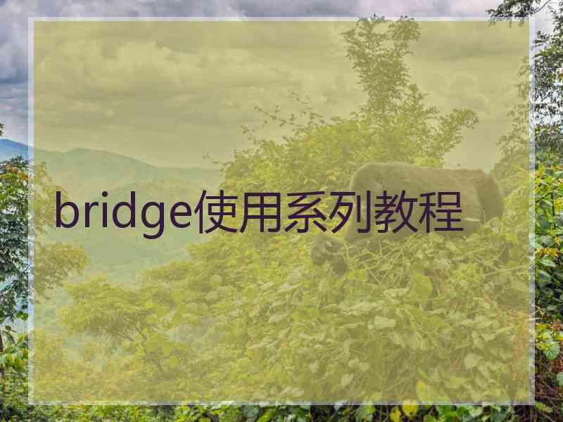 bridge使用系列教程