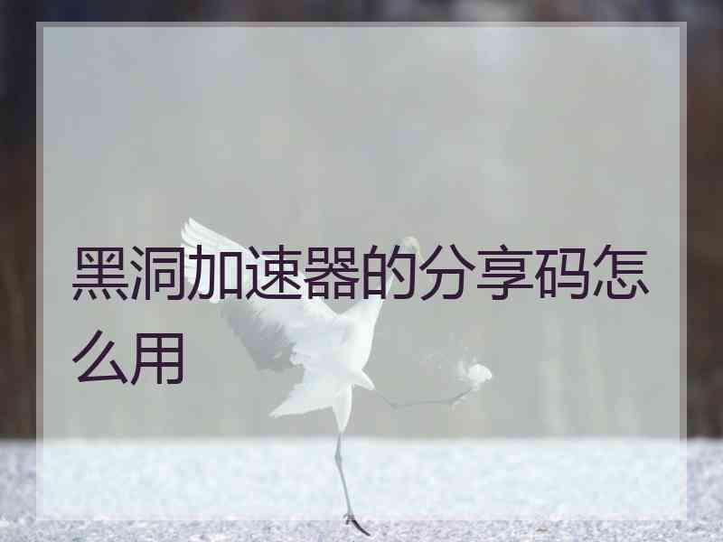 黑洞加速器的分享码怎么用