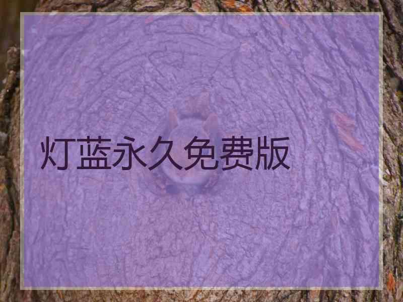 灯蓝永久免费版