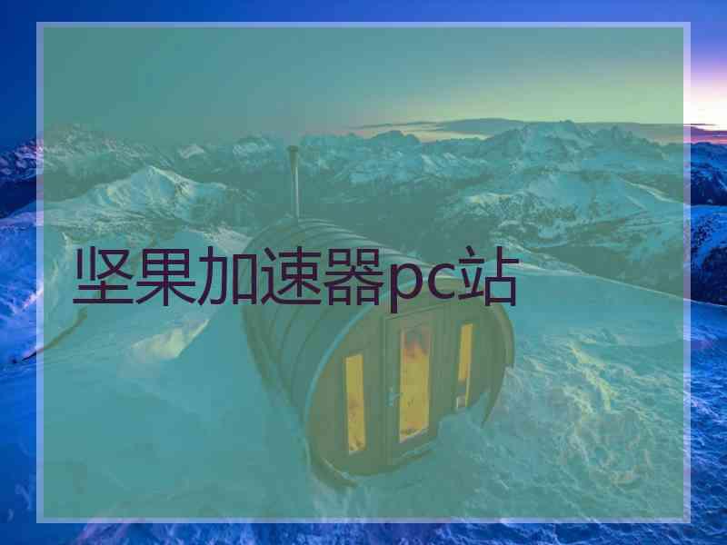 坚果加速器pc站