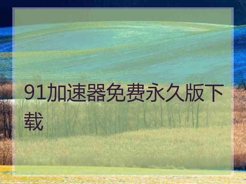91加速器免费永久版下载