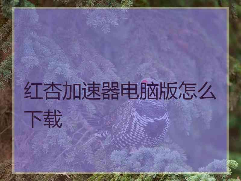 红杏加速器电脑版怎么下载