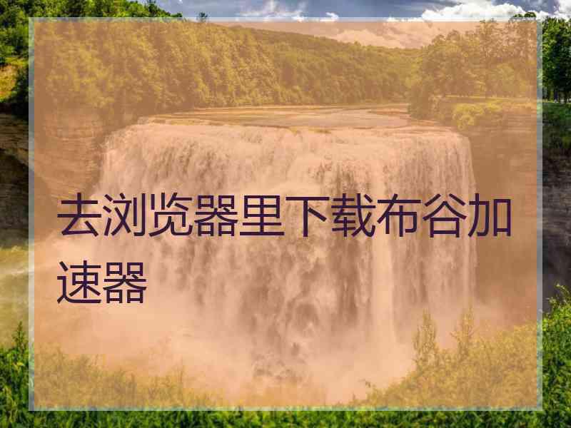 去浏览器里下载布谷加速器