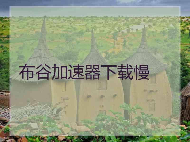 布谷加速器下载慢