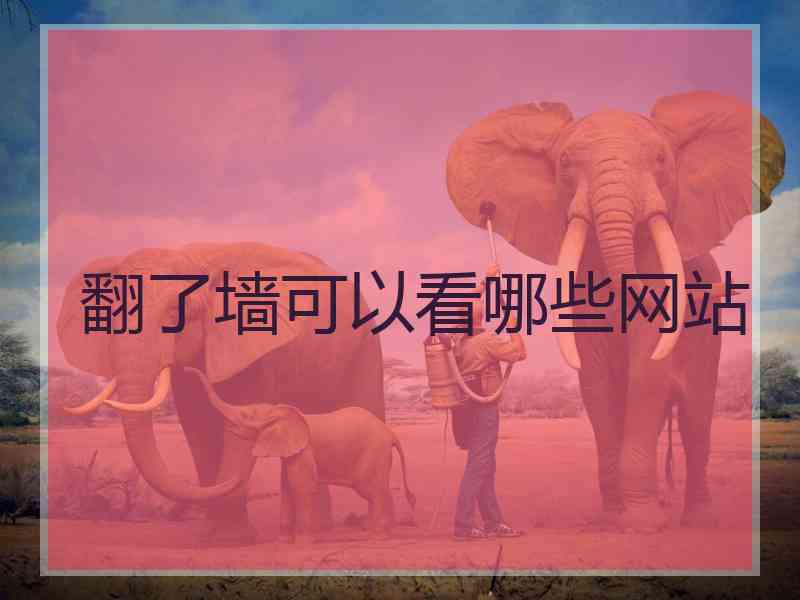 翻了墙可以看哪些网站