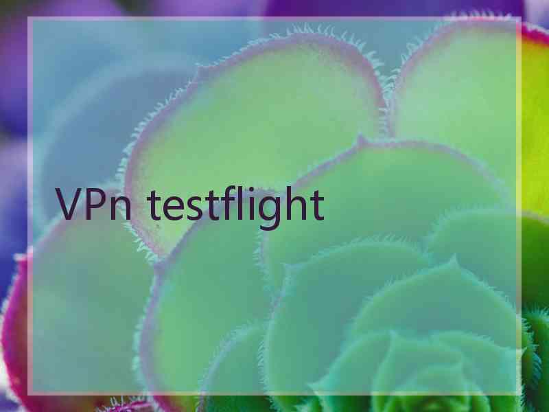 VPn testflight