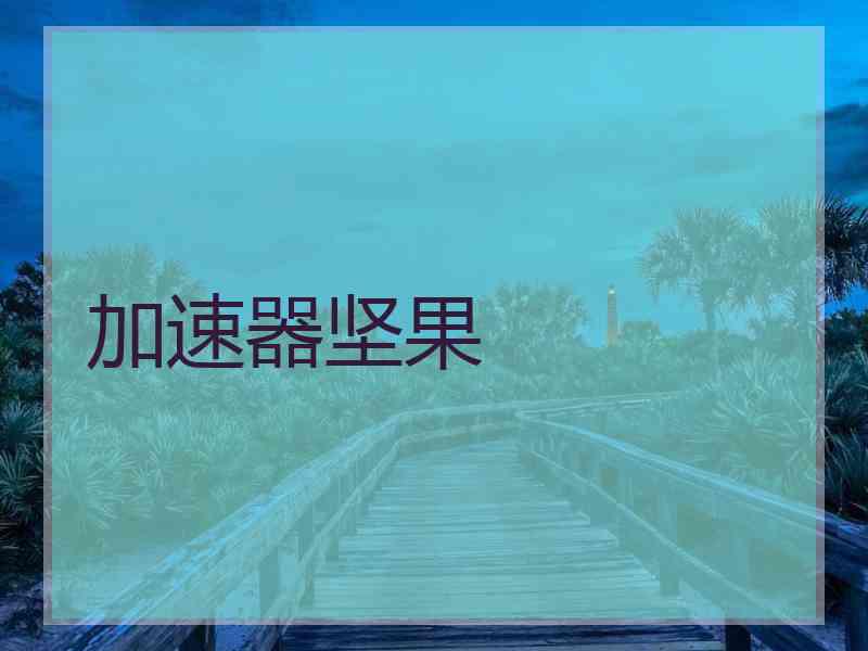 加速器坚果