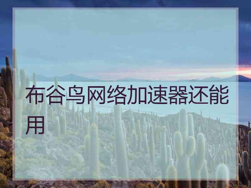 布谷鸟网络加速器还能用