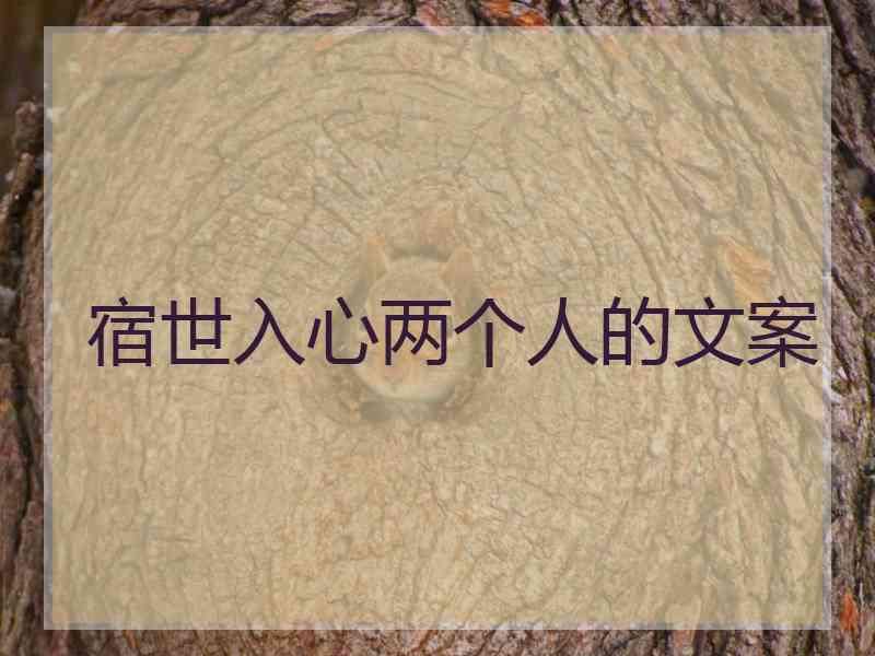 宿世入心两个人的文案