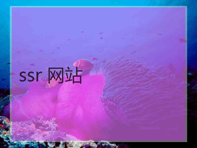 ssr 网站