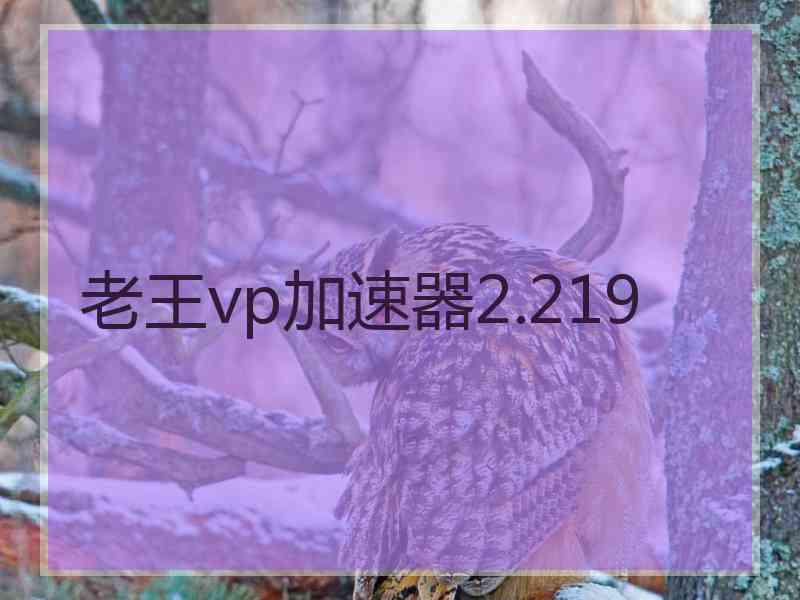 老王vp加速器2.219